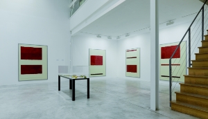 Pages 250-251 : Galerie Michel Rein, Paris, 2008